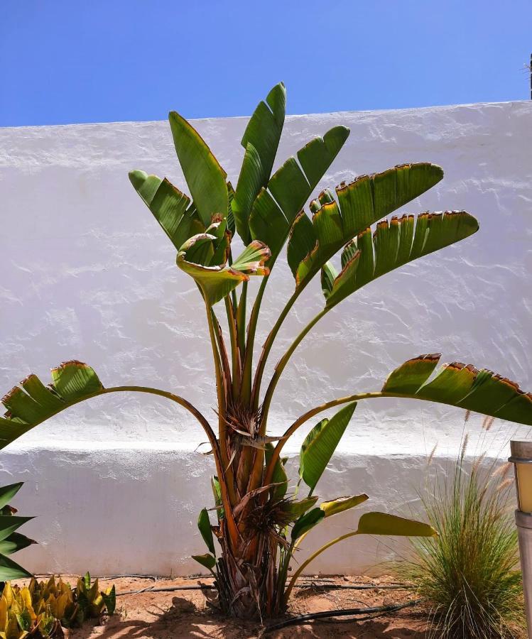 Casa Vivi Fuerteventura Appartement